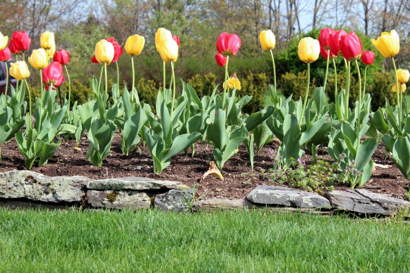 Stone Edging Installation in Stamford, CT