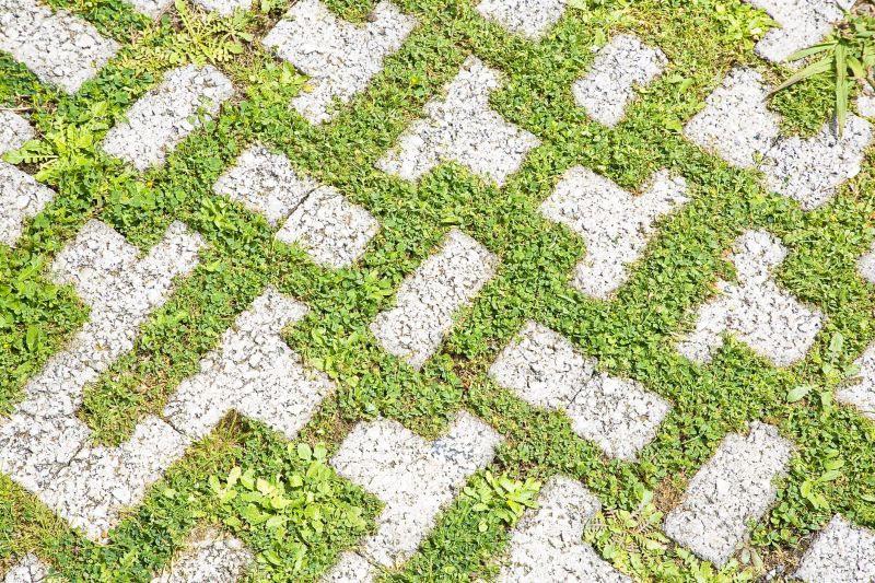 Paver Flooring Installation in Fort Collins, CO